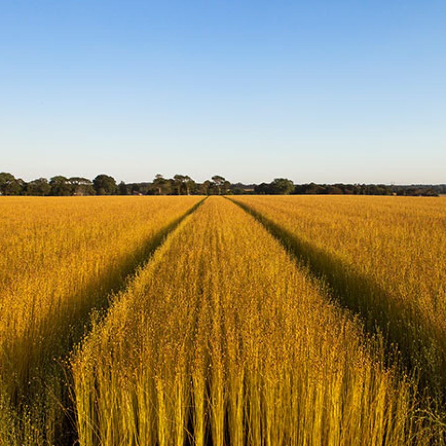 Sustainiblity_natural-raw-materials-1