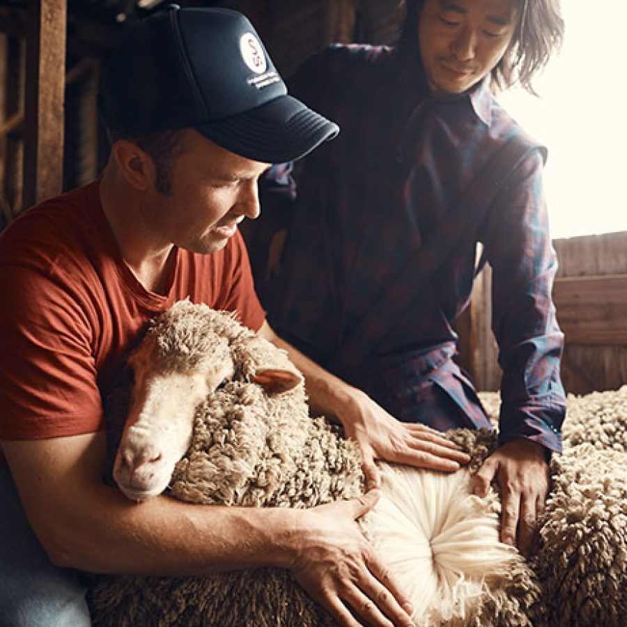 Wool-Story-Uniqueness